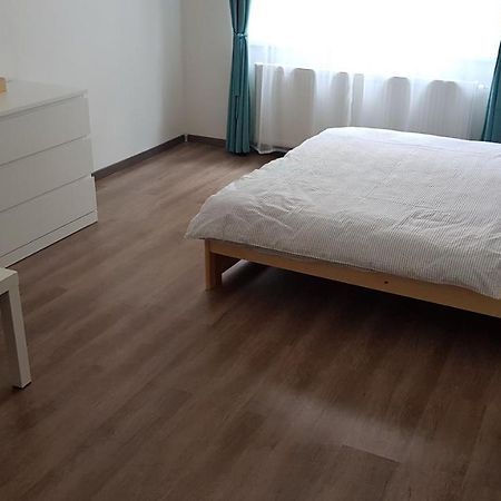 Apartman Pod Zamkem Дечин Экстерьер фото